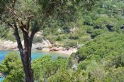 Villa Le Rocce