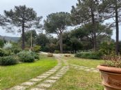 Appartamento Sera e Mattino B